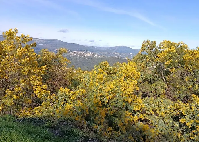 Magda 12 Couchages بيت ضيافة Montferrat (Var)